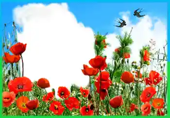 Η επιγραφή στην κορνίζα: Victory in Europe Day