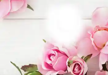 Εφέ φωτογραφιών στην κατηγορία Διαφορετικές γιορτές № 115983