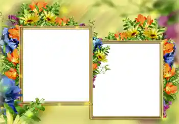 Η επιγραφή στην κορνίζα: Συγχαρητήρια!