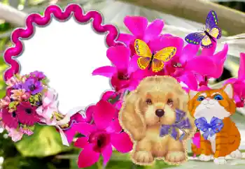 Η επιγραφή στην κορνίζα: Συγχαρητήρια!