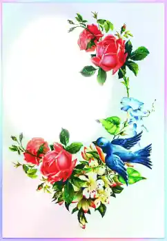 Η επιγραφή στην κορνίζα: Συγχαρητήρια!