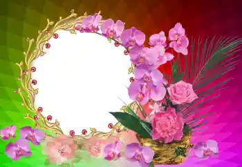 Εφέ φωτογραφιών στην κατηγορία Διαφορετικές γιορτές № 121122