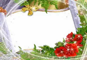 Εφέ φωτογραφιών στην κατηγορία Διαφορετικές γιορτές № 141158