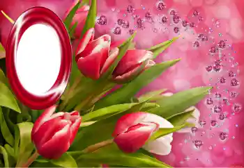 Εφέ φωτογραφιών στην κατηγορία Διαφορετικές γιορτές № 150549