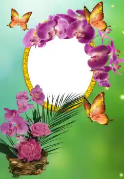 Εφέ φωτογραφιών στην κατηγορία Διαφορετικές γιορτές № 150615