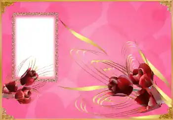 Εφέ φωτογραφιών στην κατηγορία Διαφορετικές γιορτές № 150620