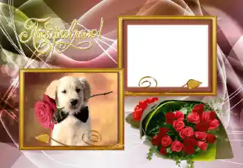 Η επιγραφή στην κορνίζα: Συγχαρητήρια!