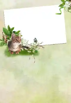 Εφέ φωτογραφιών στην κατηγορία Διαφορετικές γιορτές № 167762