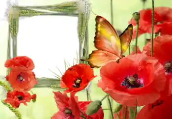 Η επιγραφή στην κορνίζα: Victory in Europe Day