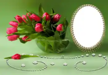 Εφέ φωτογραφιών στην κατηγορία Διαφορετικές γιορτές № 169026