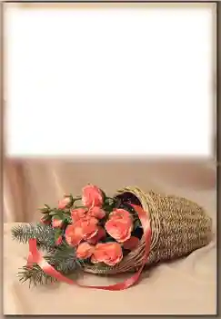 Εφέ φωτογραφιών στην κατηγορία Διαφορετικές γιορτές № 171774