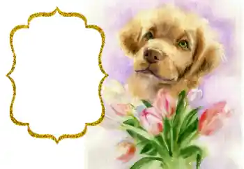 Εφέ φωτογραφιών στην κατηγορία Διαφορετικές γιορτές № 190529