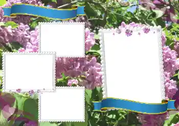 Εφέ φωτογραφιών στην κατηγορία Διαφορετικές σχολικές № 205334