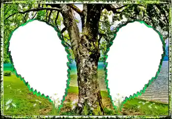Εφέ φωτογραφιών στην κατηγορία Το καλοκαίρι № 123182
