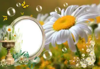 Εφέ φωτογραφιών στην κατηγορία Το καλοκαίρι № 153157 Εφέ φωτογραφιών στην κατηγορία Το καλοκαίρι № 153157