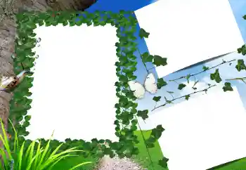 Εφέ φωτογραφιών στην κατηγορία Το καλοκαίρι № 160662 Εφέ φωτογραφιών στην κατηγορία Το καλοκαίρι № 160662