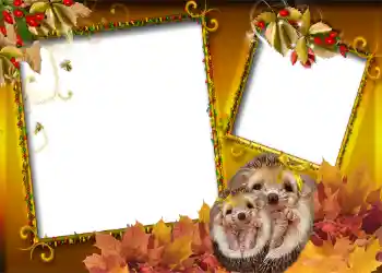 Εφέ φωτογραφιών στην κατηγορία Το φθινόπωρο № 1006