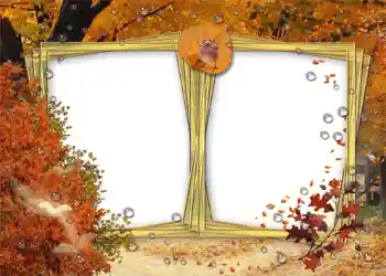 Εφέ φωτογραφιών στην κατηγορία Το φθινόπωρο № 1008