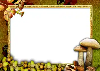 Εφέ φωτογραφιών στην κατηγορία Το φθινόπωρο № 1011