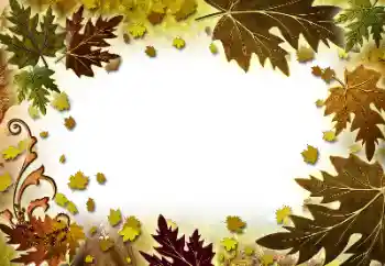 Εφέ φωτογραφιών στην κατηγορία Το φθινόπωρο № 101278