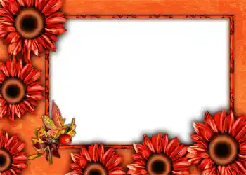 Εφέ φωτογραφιών στην κατηγορία Το φθινόπωρο № 1012