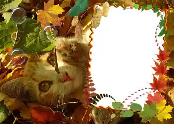 Εφέ φωτογραφιών στην κατηγορία Το φθινόπωρο № 1020