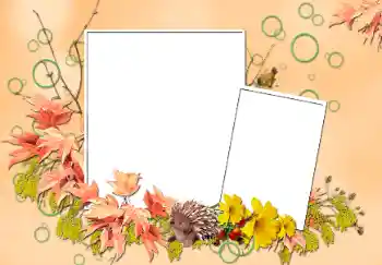 Εφέ φωτογραφιών στην κατηγορία Το φθινόπωρο № 103852