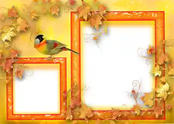 Εφέ φωτογραφιών στην κατηγορία Το φθινόπωρο № 1124