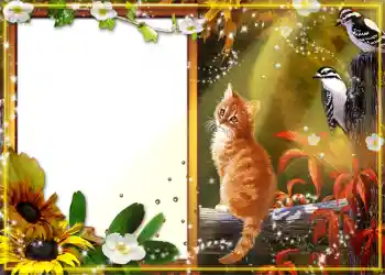 Εφέ φωτογραφιών στην κατηγορία Το φθινόπωρο № 1130