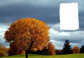 Εφέ φωτογραφιών στην κατηγορία Το φθινόπωρο № 125889