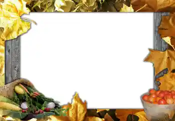 Εφέ φωτογραφιών στην κατηγορία Το φθινόπωρο № 127051