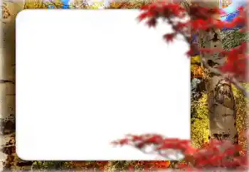 Εφέ φωτογραφιών στην κατηγορία Το φθινόπωρο № 127331