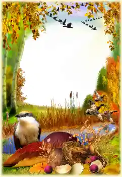 Εφέ φωτογραφιών στην κατηγορία Το φθινόπωρο № 129768