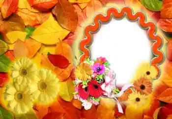 Εφέ φωτογραφιών στην κατηγορία Το φθινόπωρο № 142255