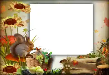 Εφέ φωτογραφιών στην κατηγορία Το φθινόπωρο № 142363