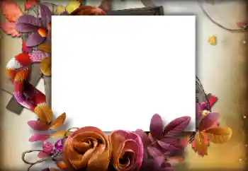 Εφέ φωτογραφιών στην κατηγορία Το φθινόπωρο № 142460