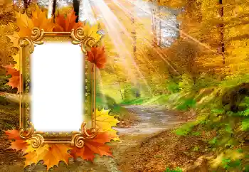 Εφέ φωτογραφιών στην κατηγορία Το φθινόπωρο № 142463