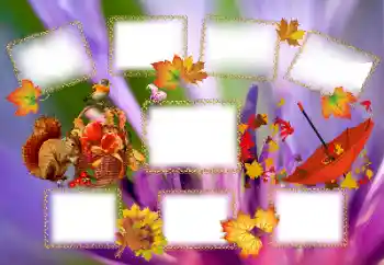 Εφέ φωτογραφιών στην κατηγορία Το φθινόπωρο № 143637