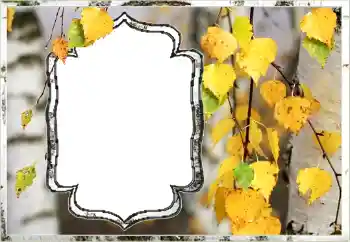 Εφέ φωτογραφιών στην κατηγορία Το φθινόπωρο № 144851