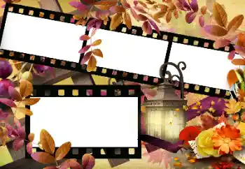 Εφέ φωτογραφιών στην κατηγορία Το φθινόπωρο № 144966