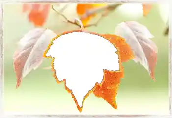 Εφέ φωτογραφιών στην κατηγορία Το φθινόπωρο № 145072