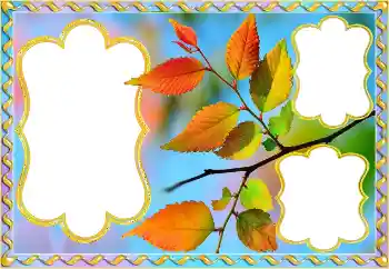 Εφέ φωτογραφιών στην κατηγορία Το φθινόπωρο № 145082