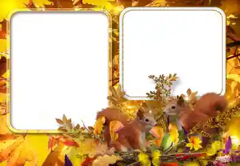 Εφέ φωτογραφιών στην κατηγορία Το φθινόπωρο № 154567