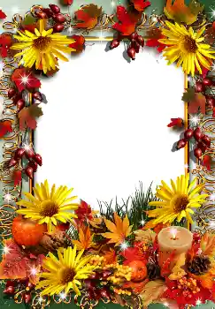 Εφέ φωτογραφιών στην κατηγορία Το φθινόπωρο № 1545