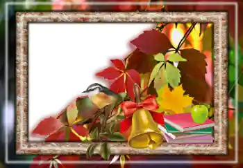 Εφέ φωτογραφιών στην κατηγορία Το φθινόπωρο № 157063