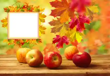 Εφέ φωτογραφιών στην κατηγορία Το φθινόπωρο № 157134