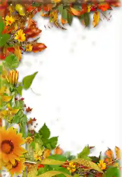 Εφέ φωτογραφιών στην κατηγορία Το φθινόπωρο № 157238