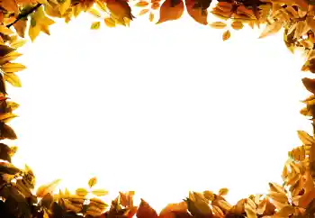 Εφέ φωτογραφιών στην κατηγορία Το φθινόπωρο № 158309