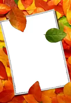 Εφέ φωτογραφιών στην κατηγορία Το φθινόπωρο № 159508