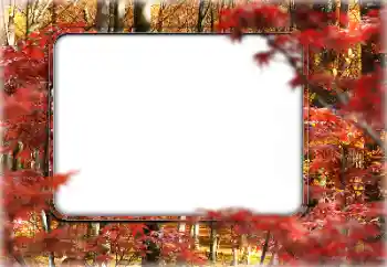 Εφέ φωτογραφιών στην κατηγορία Το φθινόπωρο № 160546